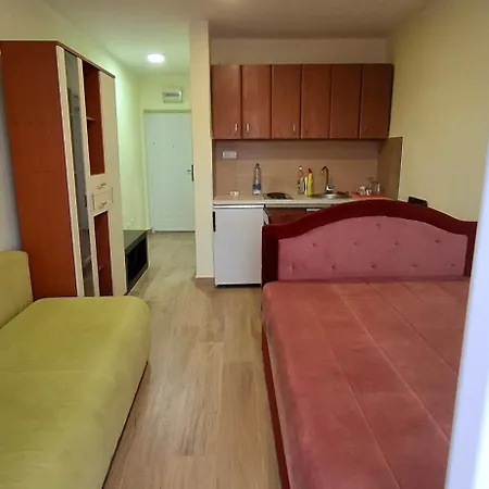 Suncani 2-vila Amfora Apartment Budva
